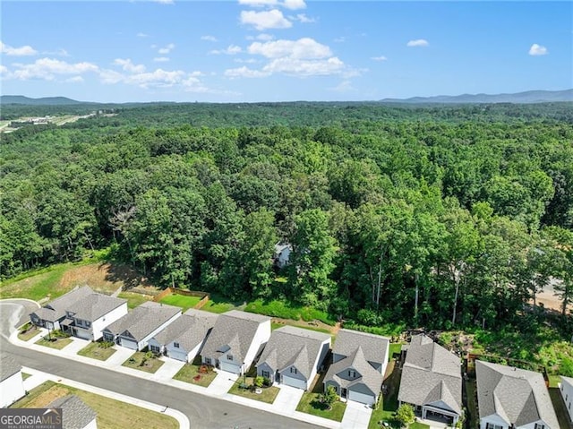 286 Kimberleys Xing, Jasper, GA 30143 - aerial perspective of suburban area with a heavily wooded area