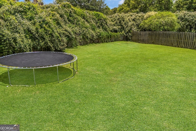 7 Springwater Dr, Port Wentworth, GA 31407 - view of yard with a trampoline