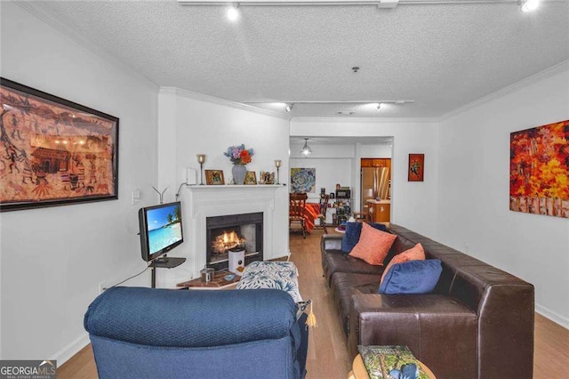 301 Cobblestone Trl, Avondale Estates, GA 30002 - living room with rail lighting, wood finished floors, a textured ceiling, ornamental molding, and a warm lit fireplace
