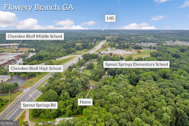 264 Golden Eagle Pkwy, Braselton, GA 30517 - bird's eye view of a forest