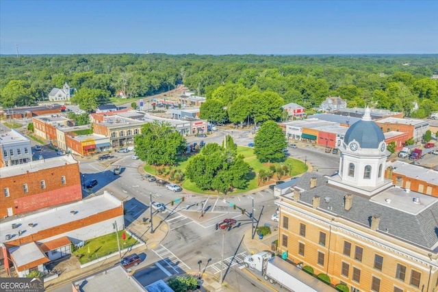 536 Sam Brown Blvd, Commerce, GA 30529 - drone / aerial view of a forest