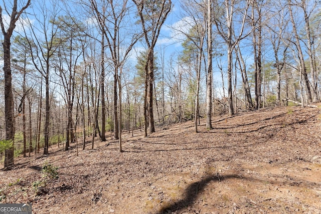 55 Black Bear Trl, Cleveland, GA 30528 - view of nature