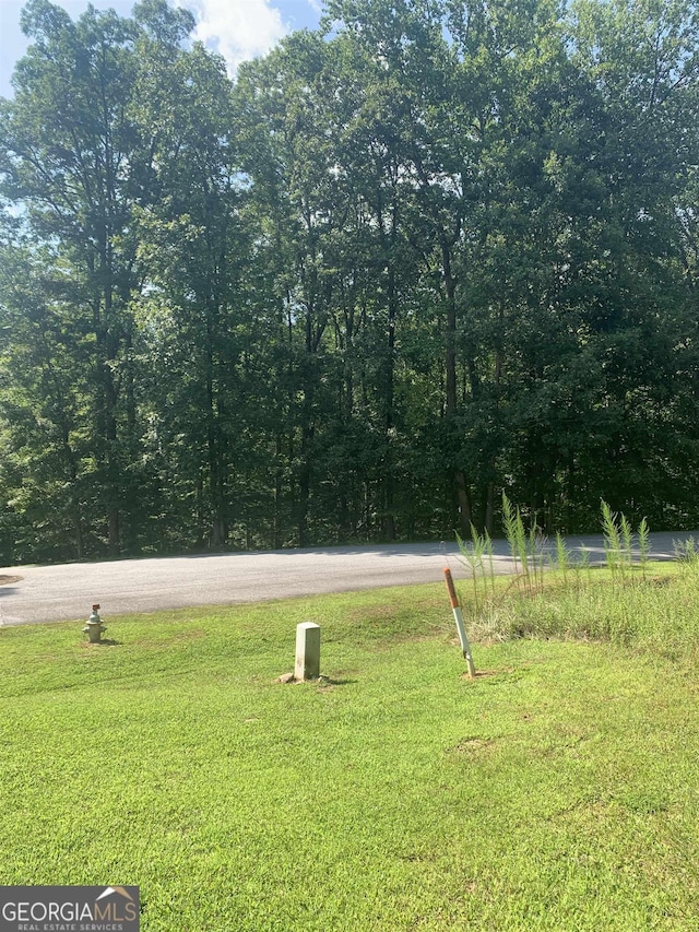 LOT179 N Laceola Rd, Cleveland, GA 30528