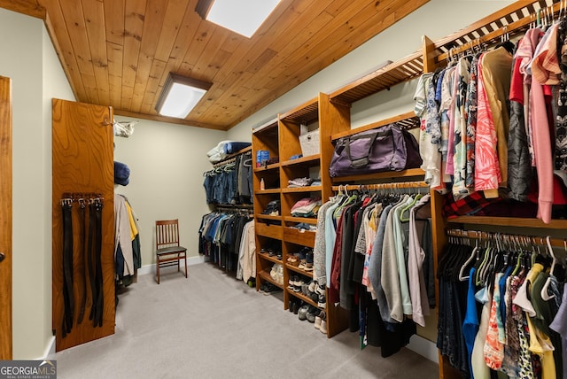 712 Meadow Run Ct, Clarkesville, GA 30523 - spacious closet featuring carpet floors