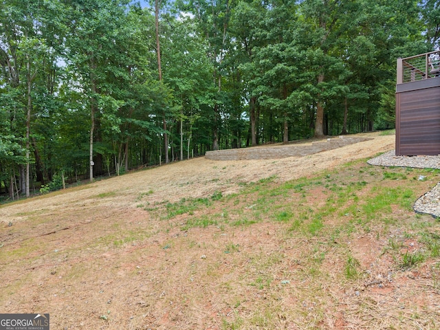 712 Meadow Run Ct, Clarkesville, GA 30523 - view of yard