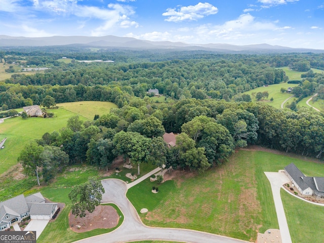 712 Meadow Run Ct, Clarkesville, GA 30523 - bird's eye view of a mountainous background