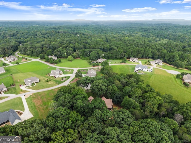 712 Meadow Run Ct, Clarkesville, GA 30523 - aerial view of property's location featuring a heavily wooded area
