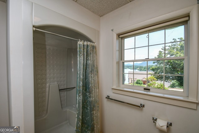 2722 Hidden Valley Rd, Hiawassee, GA 30546 - bathroom featuring a shower with shower curtain and a water view