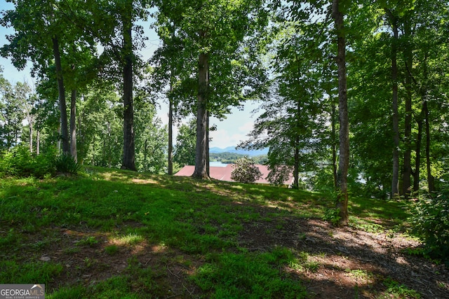 2722 Hidden Valley Rd, Hiawassee, GA 30546 - view of undeveloped land