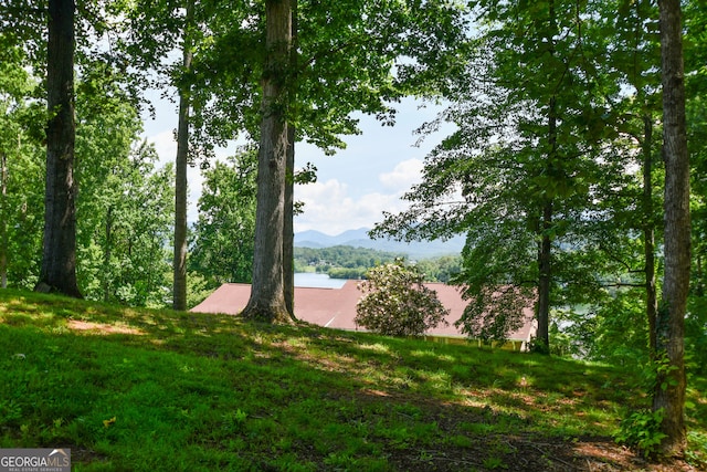 2722 Hidden Valley Rd, Hiawassee, GA 30546 - water view with a mountainous background
