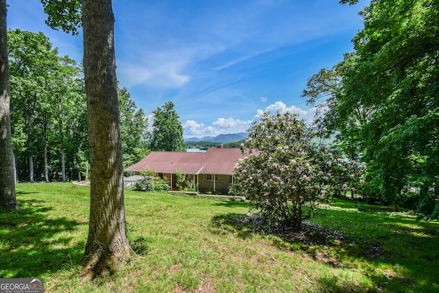 2722 Hidden Valley Rd, Hiawassee, GA 30546 - view of green lawn