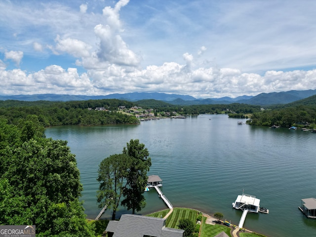 2722 Hidden Valley Rd, Hiawassee, GA 30546 - water view with mountains and a boat dock
