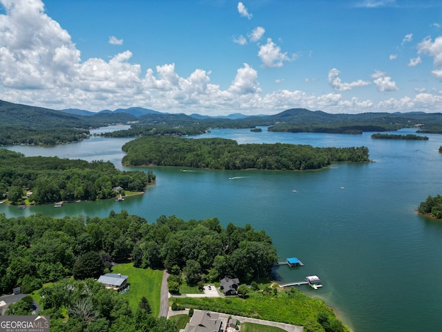 2722 Hidden Valley Rd, Hiawassee, GA 30546 - bird's eye view of a water and mountain view and a forest