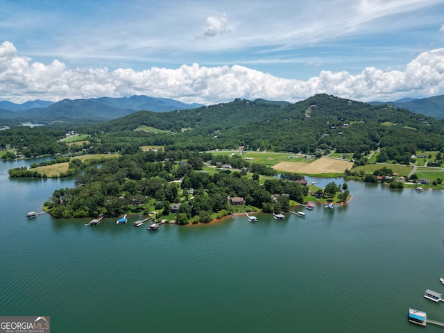 2722 Hidden Valley Rd, Hiawassee, GA 30546 - bird's eye view of a water and mountain view