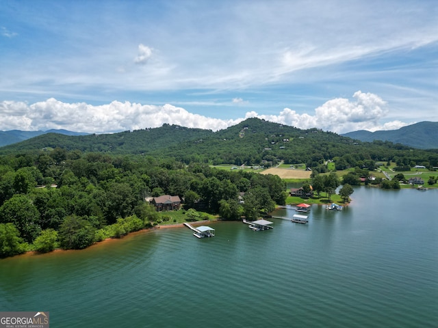 2722 Hidden Valley Rd, Hiawassee, GA 30546 - aerial view of a water and mountain view