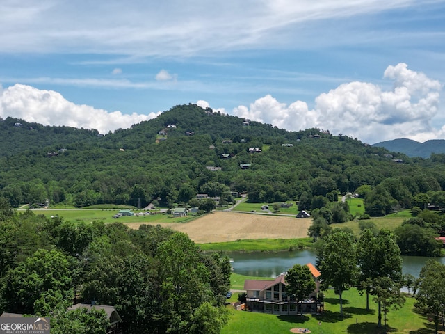 2722 Hidden Valley Rd, Hiawassee, GA 30546 - view of mountain backdrop featuring a large body of water
