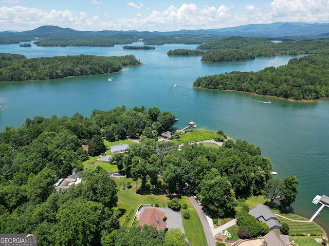 2722 Hidden Valley Rd, Hiawassee, GA 30546 - aerial view of a water and mountain view and a heavily wooded area