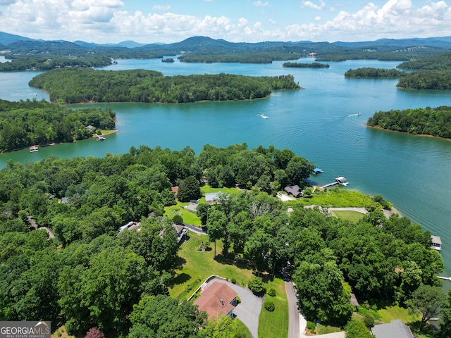 2722 Hidden Valley Rd, Hiawassee, GA 30546 - aerial view of a water and mountain view and a heavily wooded area