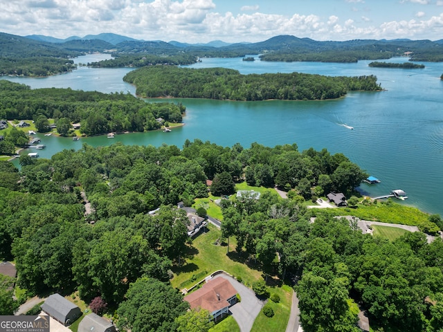 2722 Hidden Valley Rd, Hiawassee, GA 30546 - drone / aerial view of a water and mountain view and a forest