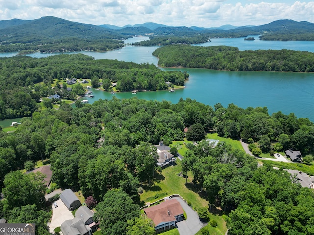 2722 Hidden Valley Rd, Hiawassee, GA 30546 - drone / aerial view of a forest and a water and mountain view