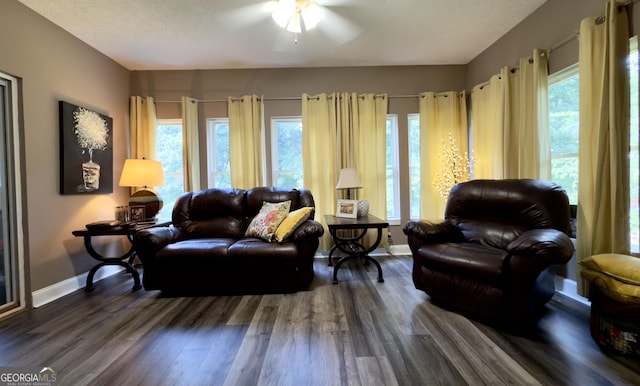 1780 Double Bridge Rd, Demorest, GA 30535 - living area with ceiling fan, wood finished floors, and plenty of natural light