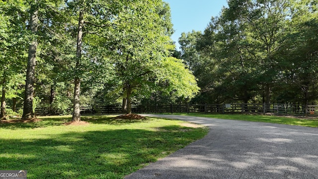 1780 Double Bridge Rd, Demorest, GA 30535 - view of road