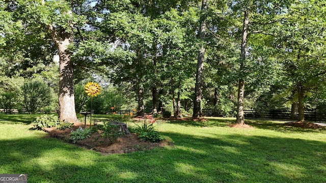 1780 Double Bridge Rd, Demorest, GA 30535 - view of yard
