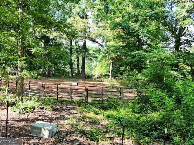 1780 Double Bridge Rd, Demorest, GA 30535 - view of yard