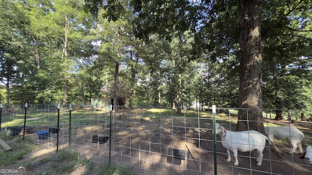 1780 Double Bridge Rd, Demorest, GA 30535 - view of yard with a storage shed