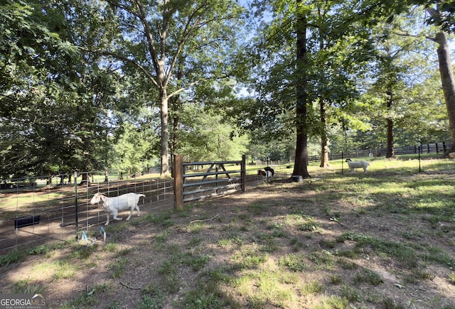 1780 Double Bridge Rd, Demorest, GA 30535 - view of yard featuring an exterior structure