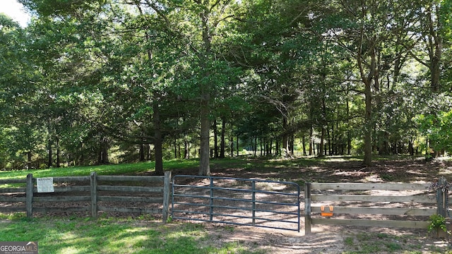 1780 Double Bridge Rd, Demorest, GA 30535 - view of yard