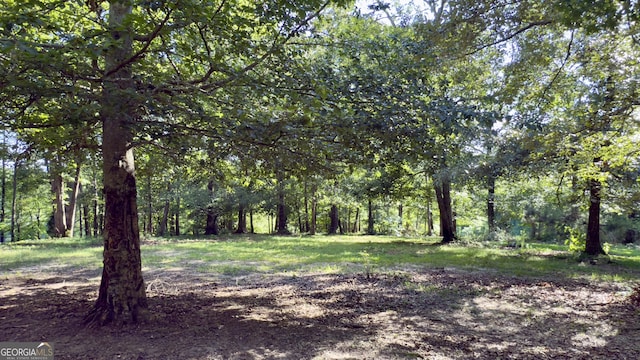 1780 Double Bridge Rd, Demorest, GA 30535 - view of yard with a wooded view