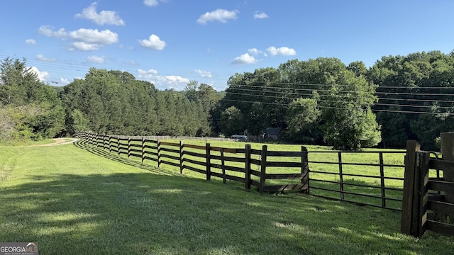 1780 Double Bridge Rd, Demorest, GA 30535 - view of yard with a rural view and a wooded view