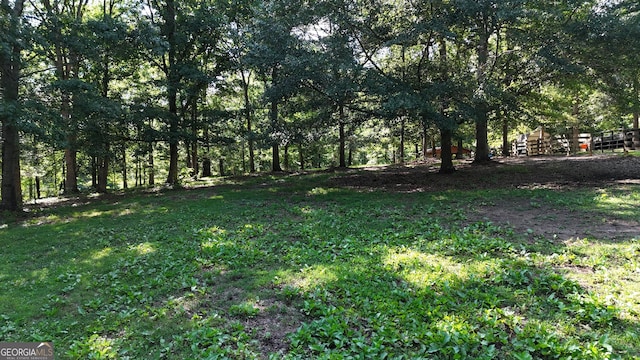 1780 Double Bridge Rd, Demorest, GA 30535 - view of yard