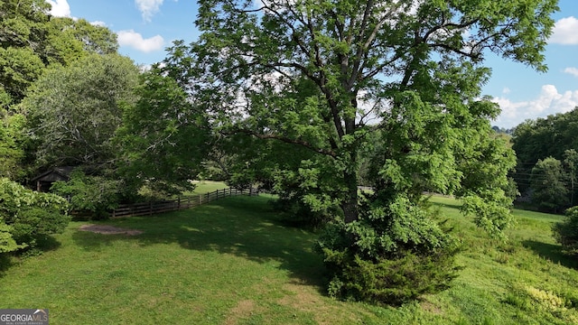 1780 Double Bridge Rd, Demorest, GA 30535 - view of yard