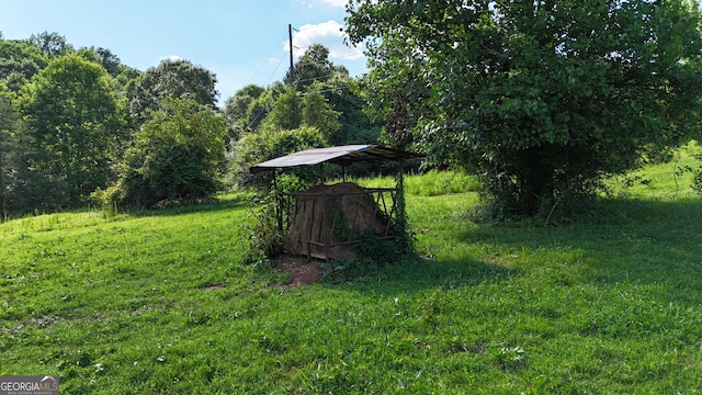 1780 Double Bridge Rd, Demorest, GA 30535 - view of yard