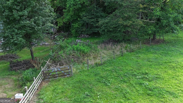 1780 Double Bridge Rd, Demorest, GA 30535 - view of yard