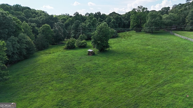 1780 Double Bridge Rd, Demorest, GA 30535 - view of yard featuring a view of countryside and a view of trees