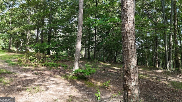 1780 Double Bridge Rd, Demorest, GA 30535 - view of undeveloped land