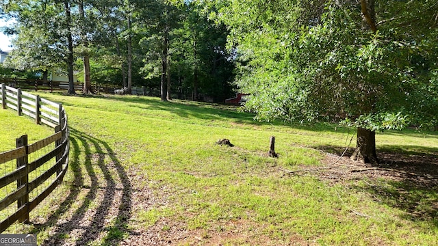 1780 Double Bridge Rd, Demorest, GA 30535 - view of yard