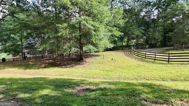 1780 Double Bridge Rd, Demorest, GA 30535 - view of yard