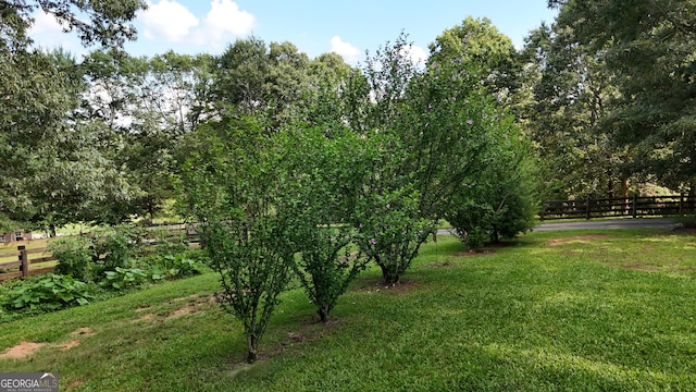 1780 Double Bridge Rd, Demorest, GA 30535 - view of yard