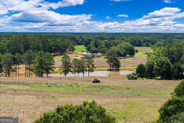1013 Amber Stapp Studdard Rd, Social Circle, GA 30025