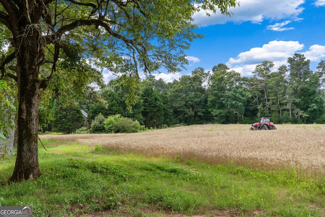 1013 Amber Stapp Studdard Rd, Social Circle, GA 30025