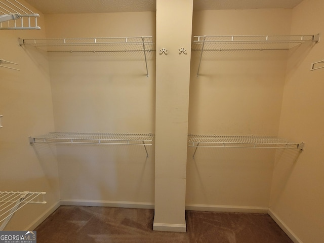 424 Ivey Edwards Ln, Mcdonough, GA 30253 - walk in closet featuring carpet