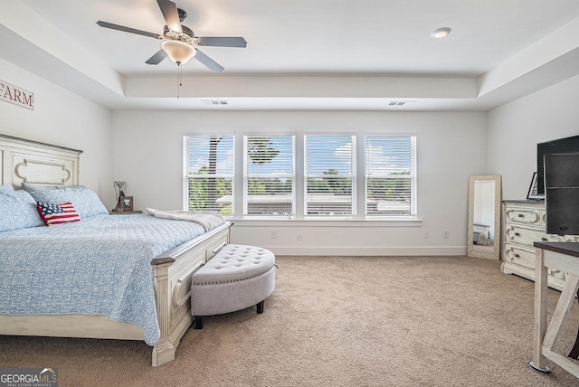 211 N Auburn Landing Pl, Auburn, GA 30011 - bedroom featuring a raised ceiling, multiple windows, and light colored carpet