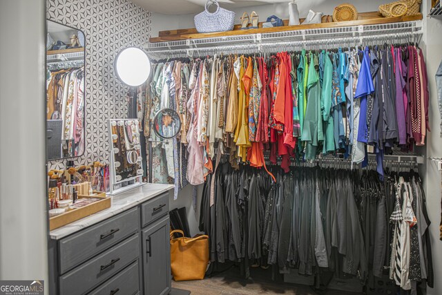 184 Fashion Xing, Mcdonough, GA 30252 - view of spacious closet