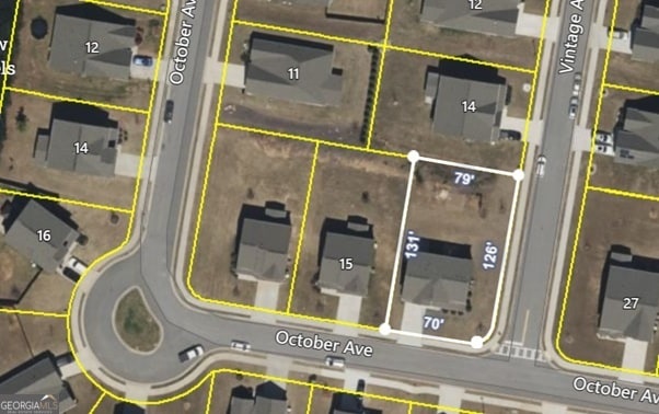 17 October Ave, Newnan, GA 30265 - aerial view of property's location