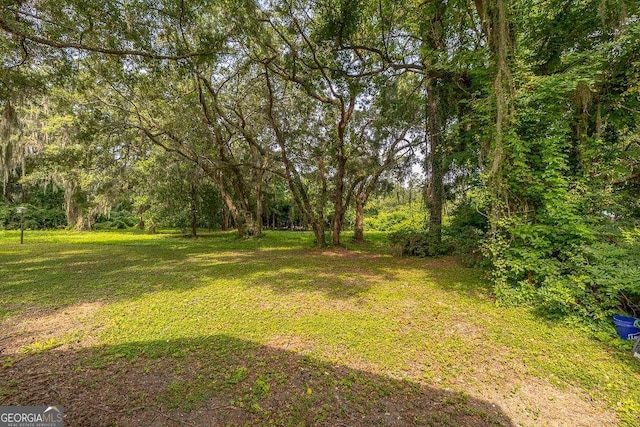 106 Draughons Dr, Saint Simons, GA 31522 - view of green lawn with a wooded view