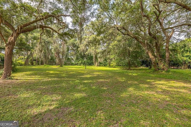 106 Draughons Dr, Saint Simons, GA 31522 - view of green lawn featuring a wooded view
